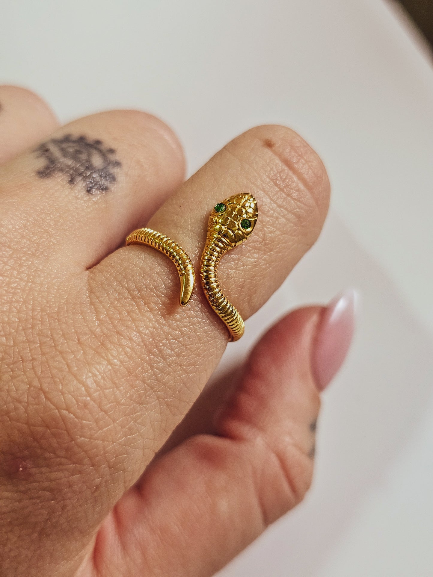 Anello Reptilia
