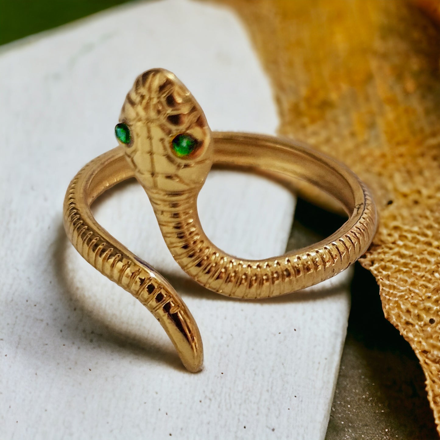Anello Reptilia