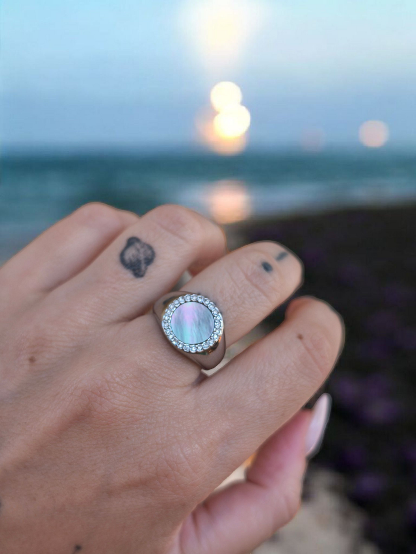 Chevalier Abalone Swarovski