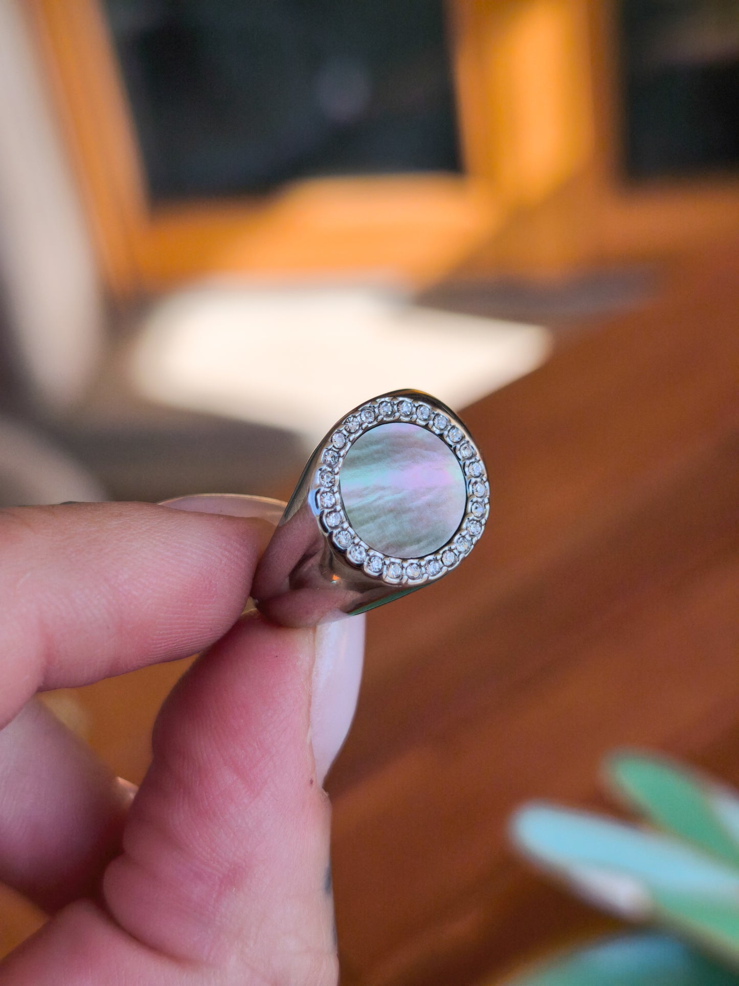 Chevalier Abalone Swarovski