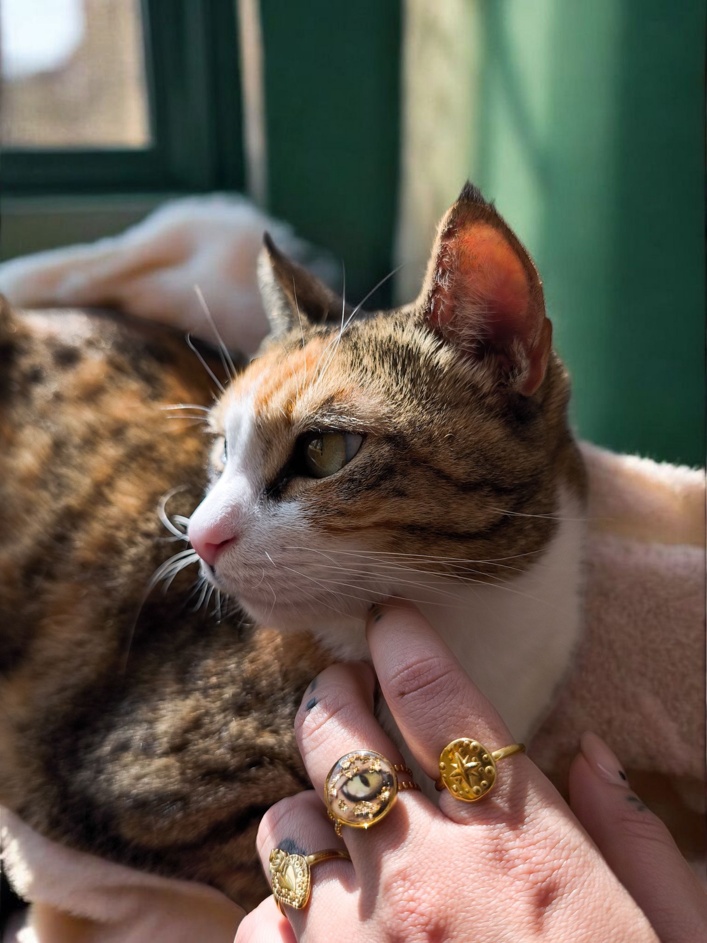 Anello Frammento d'anima