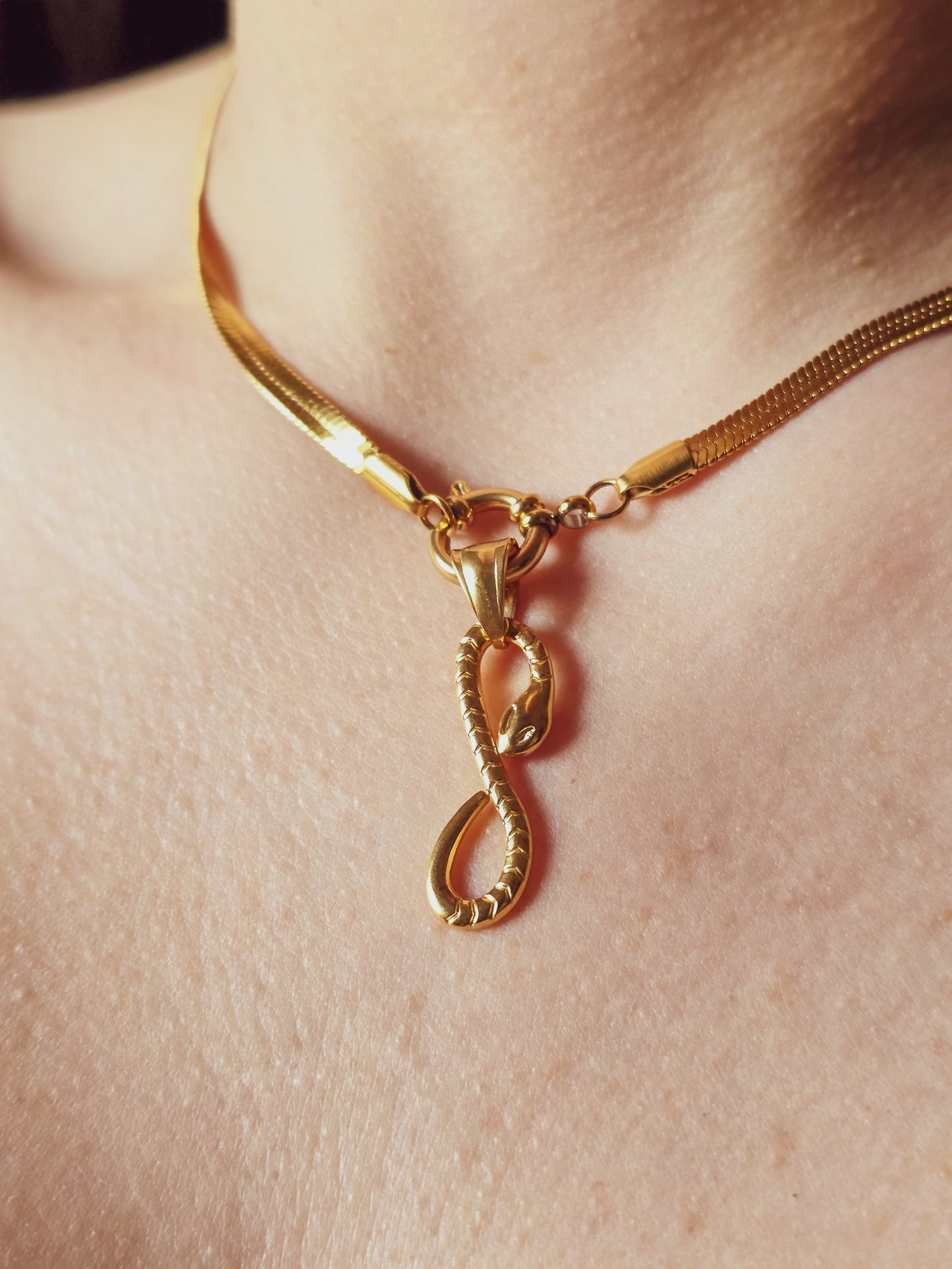 Charm Serpente Infinito