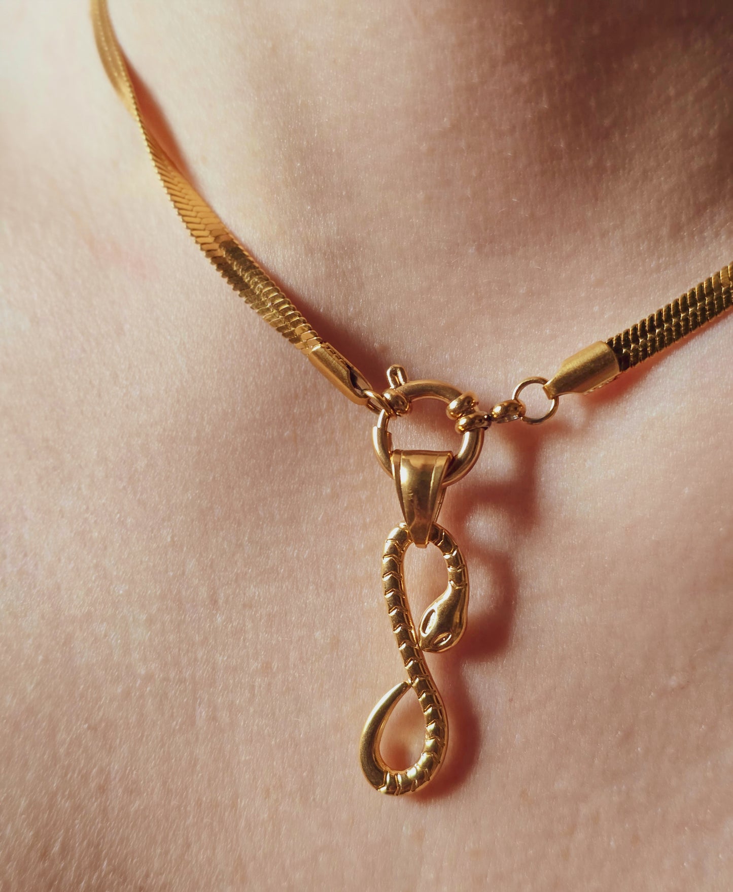 Charm Serpente Infinito