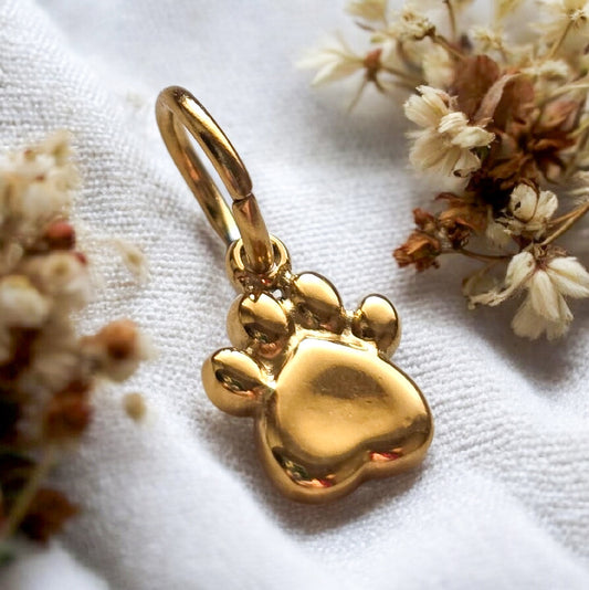 Charm Paw
